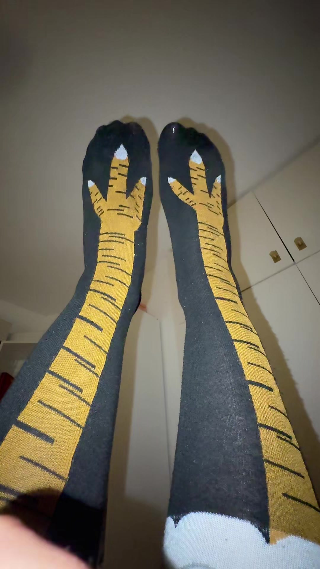 @MSNINA