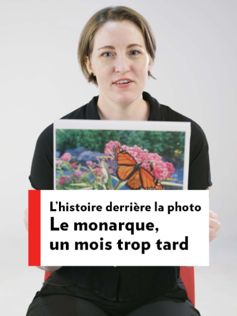 @La Presse
