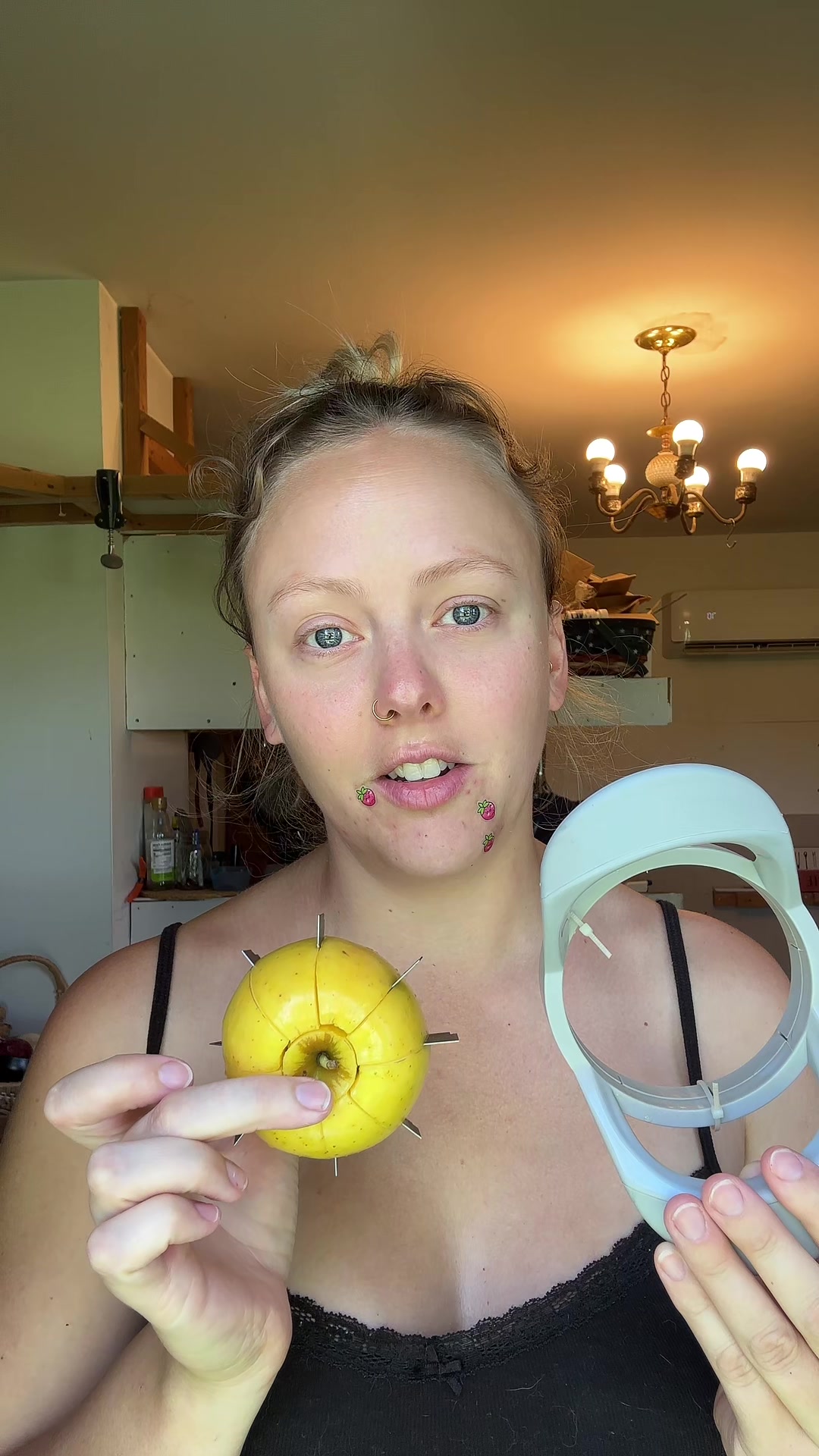 @farmerandtheharpiist