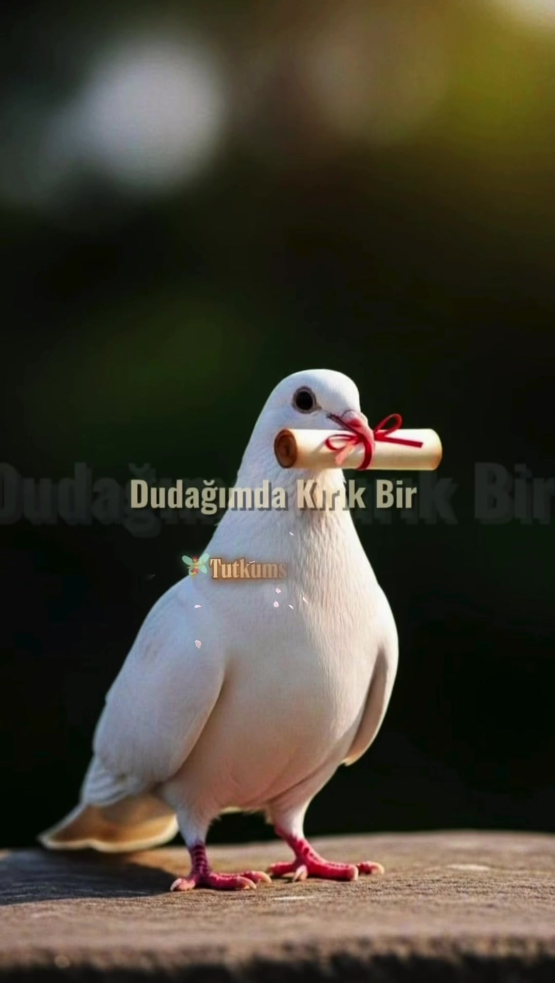 @🅣♥️🅤♥️🅣♥️🅚♥️🅤♥️🅜