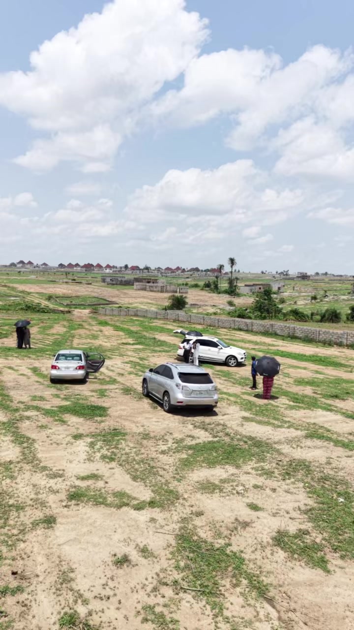 @alkali_homes