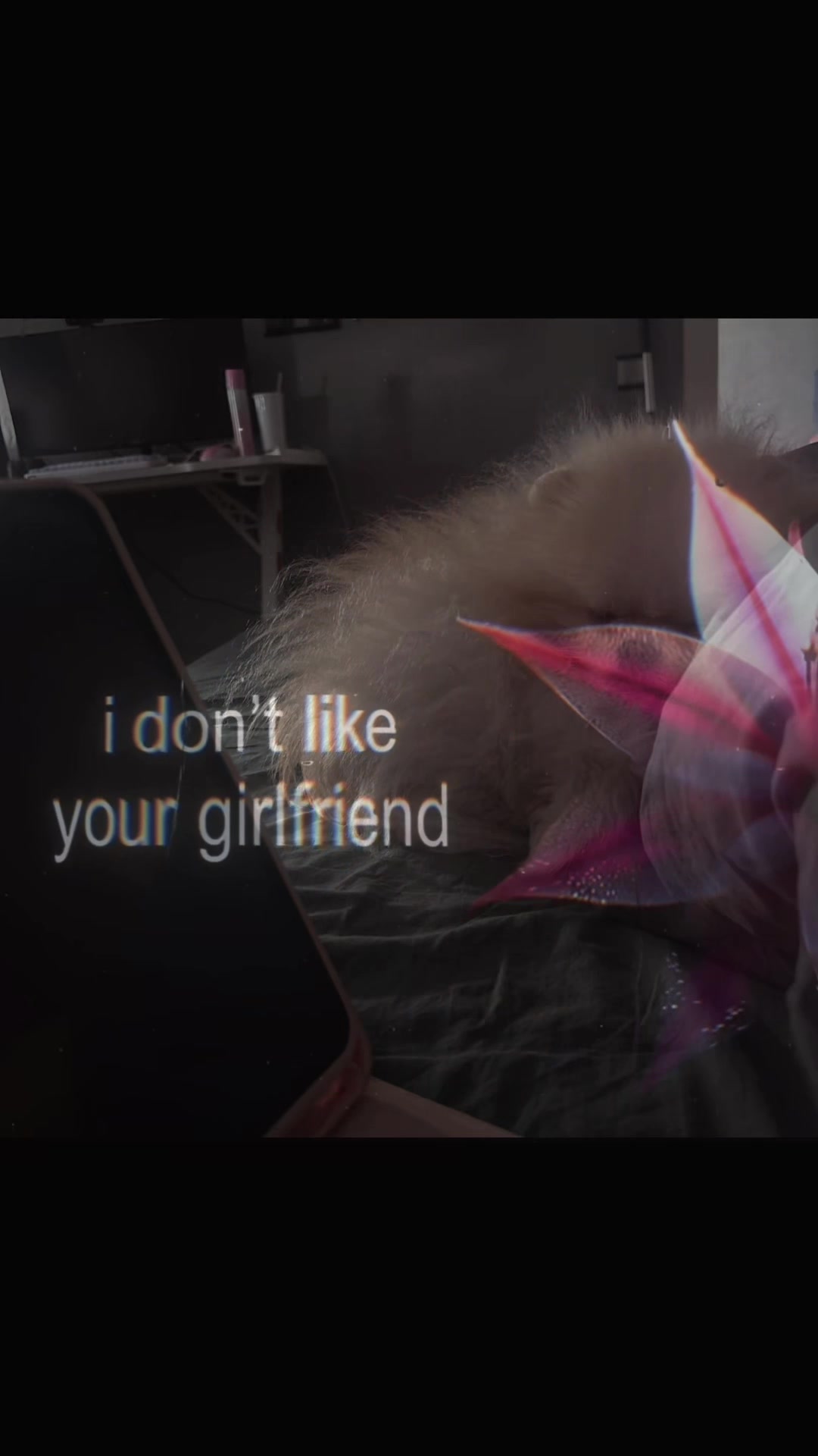 @eve