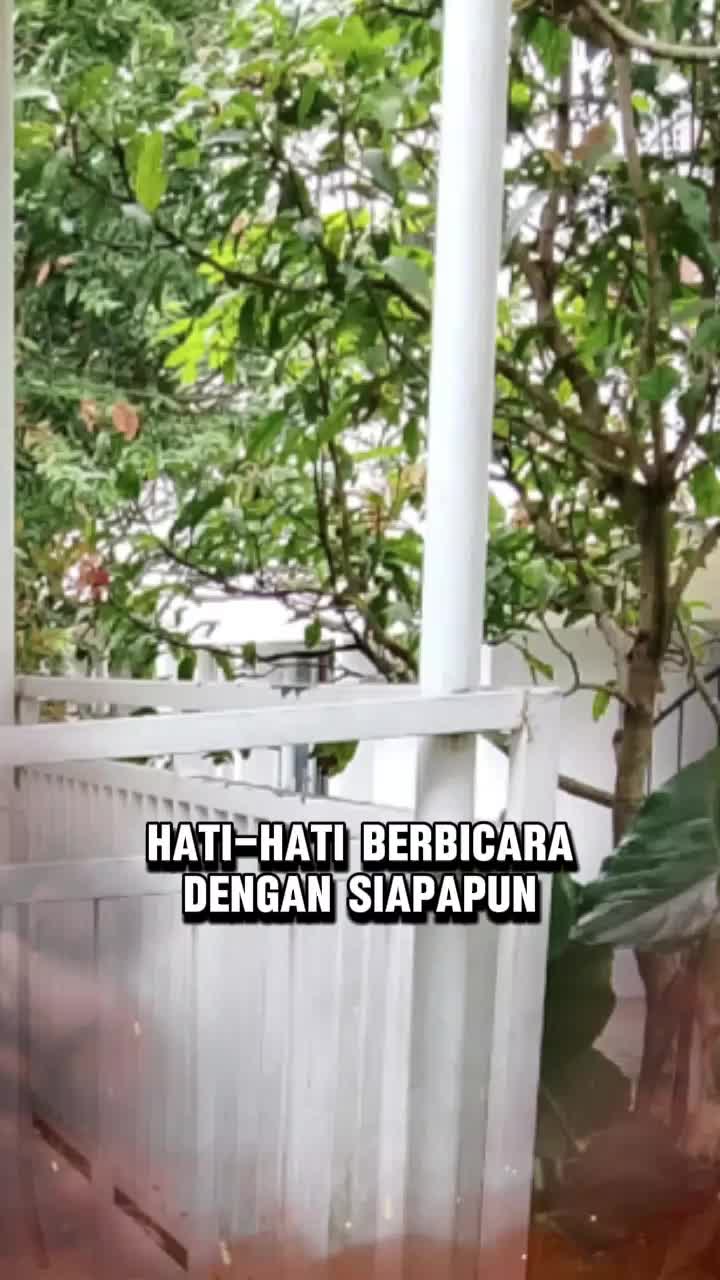 @Lili Wildan