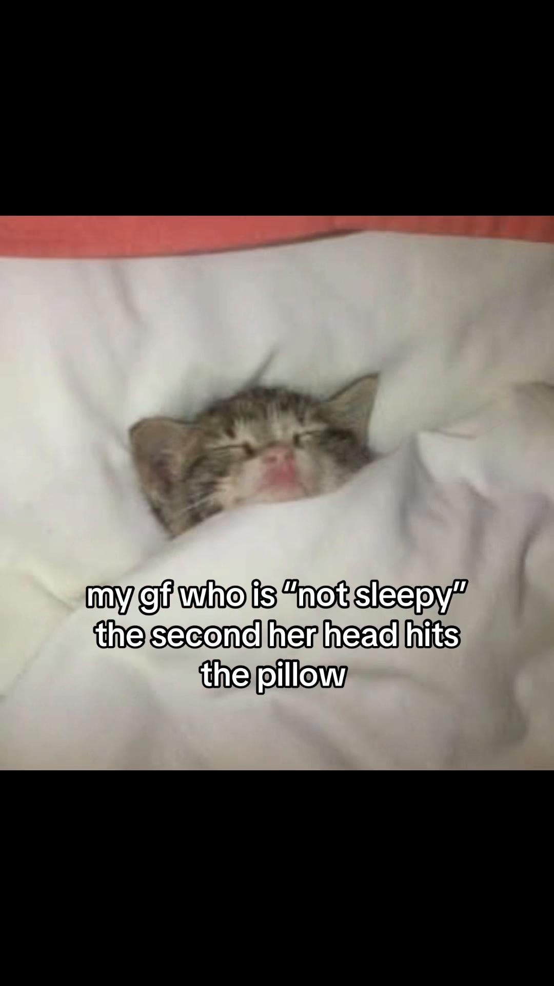@meowconcept