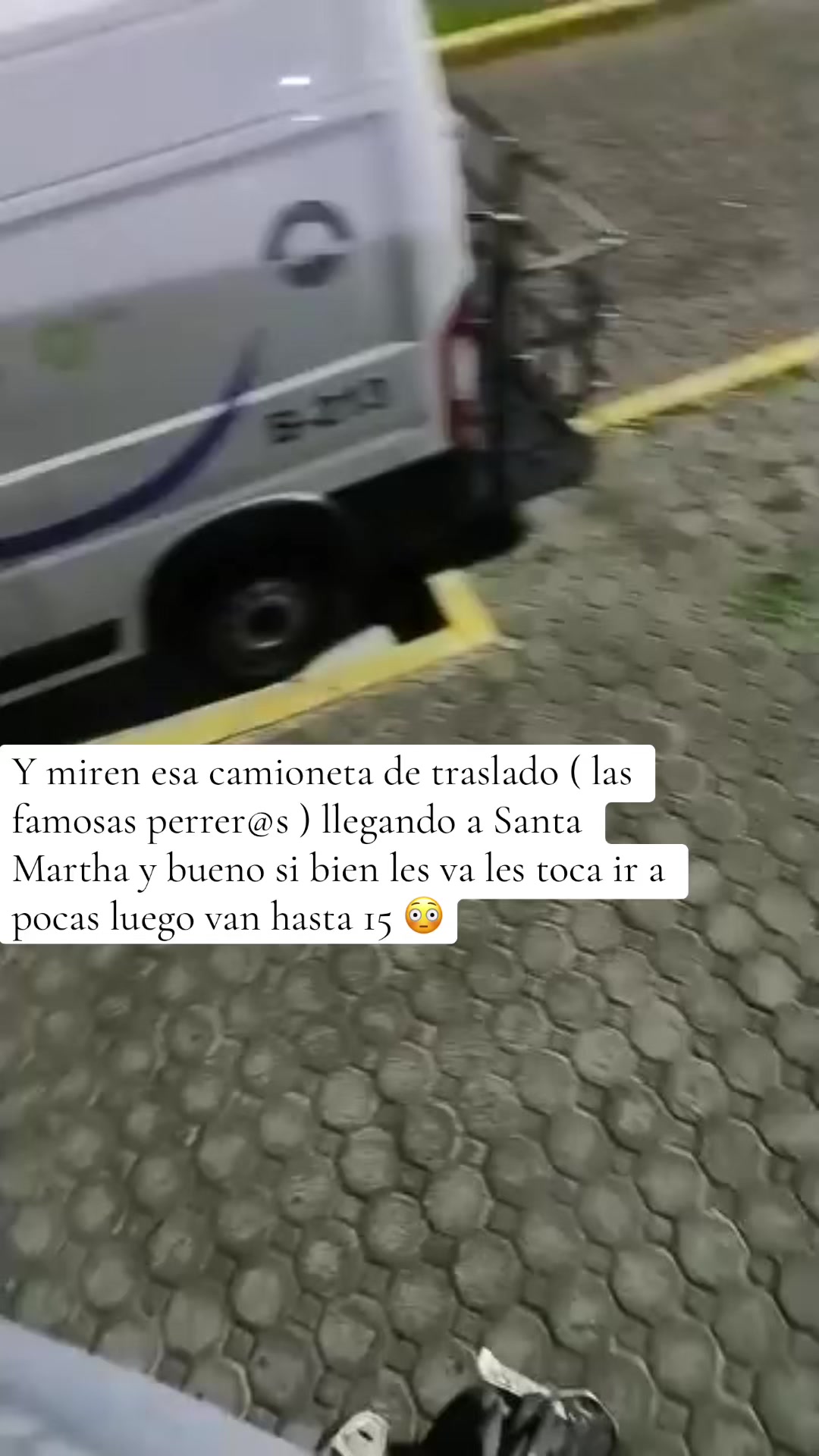 @Reas de turquesa