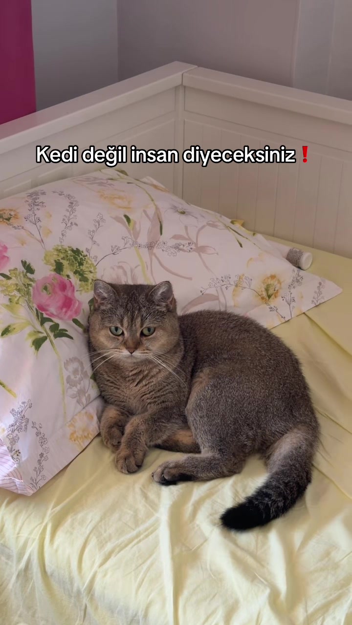 @Asude🫧💌🪬🎈