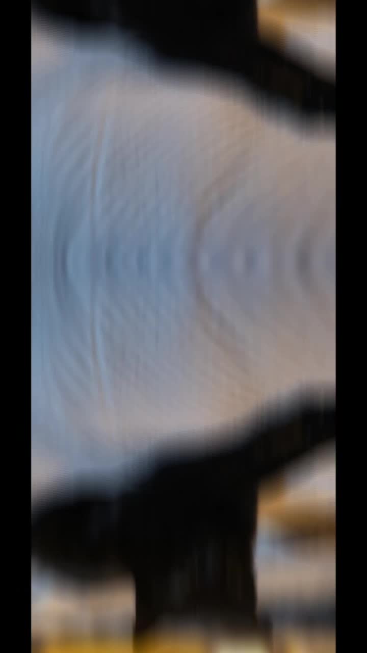 @SZamora