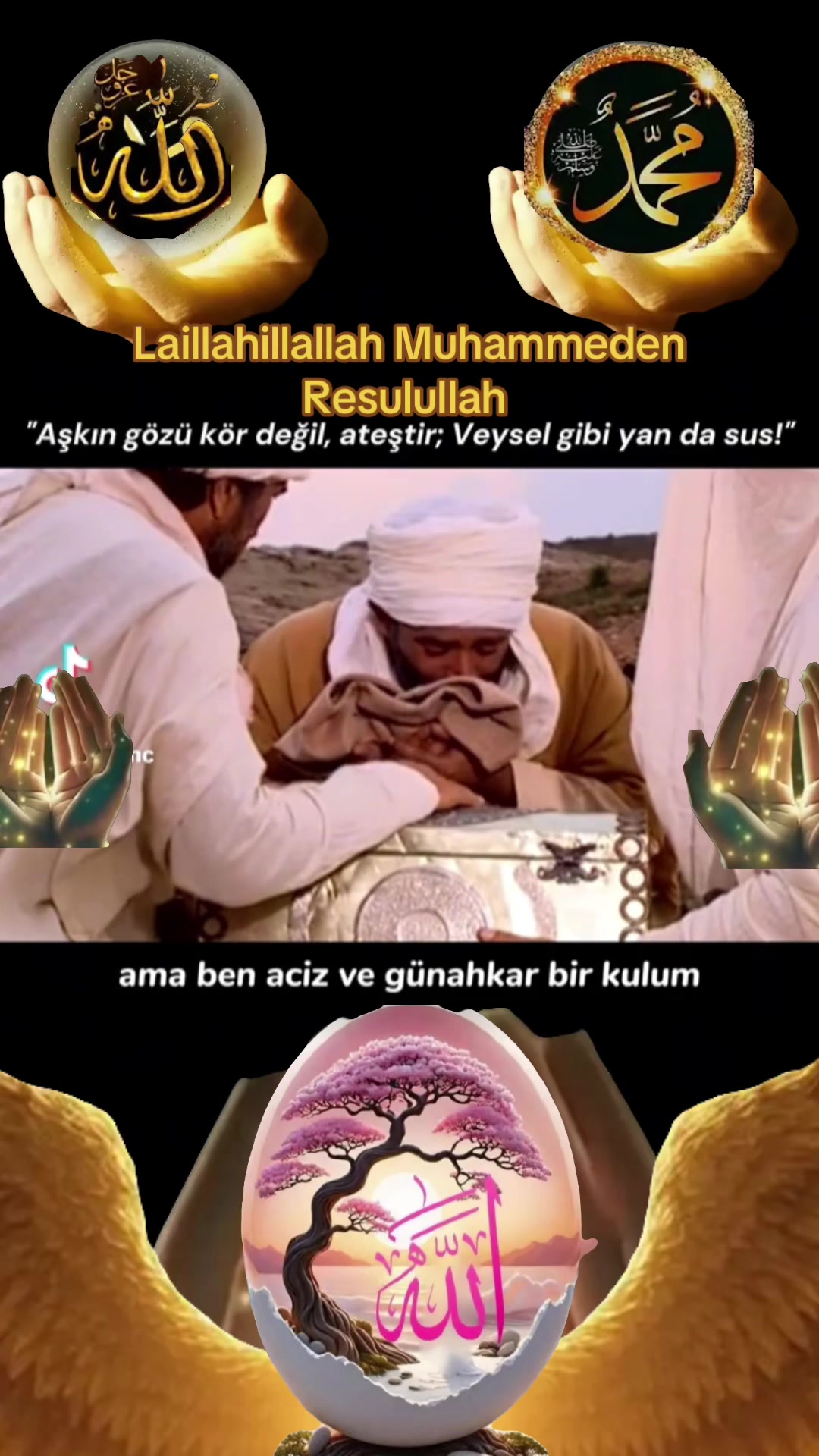 @🇹🇷Canan🇵🇸☝️🤲