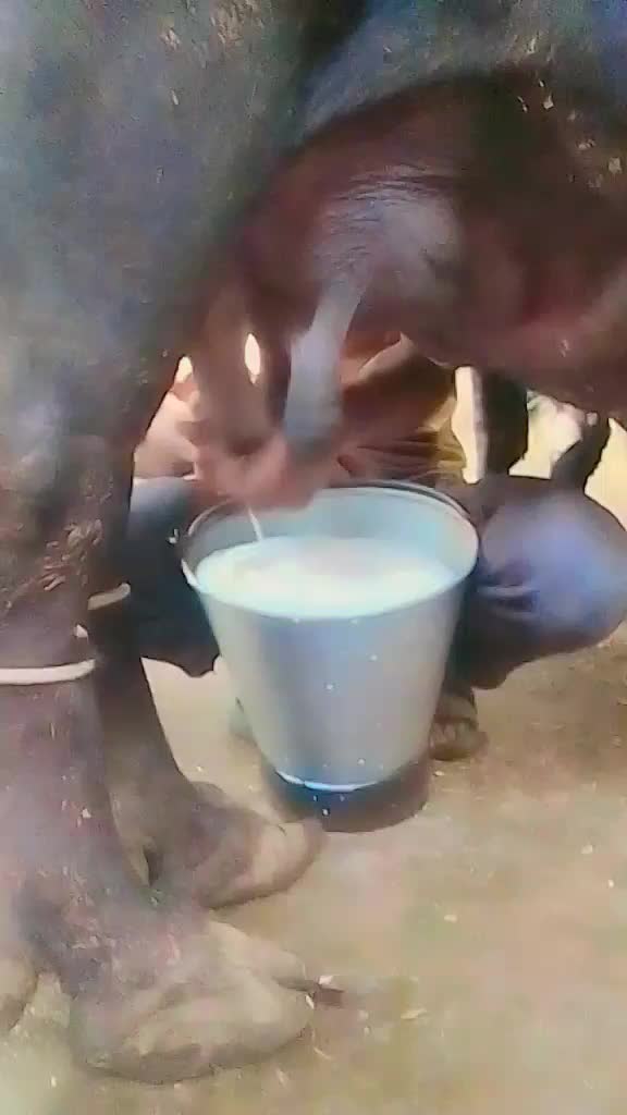 @mirsunnykhaskheli
