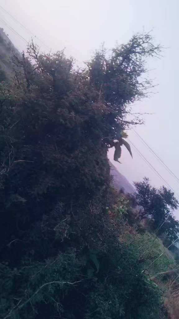 @Banarasi babu