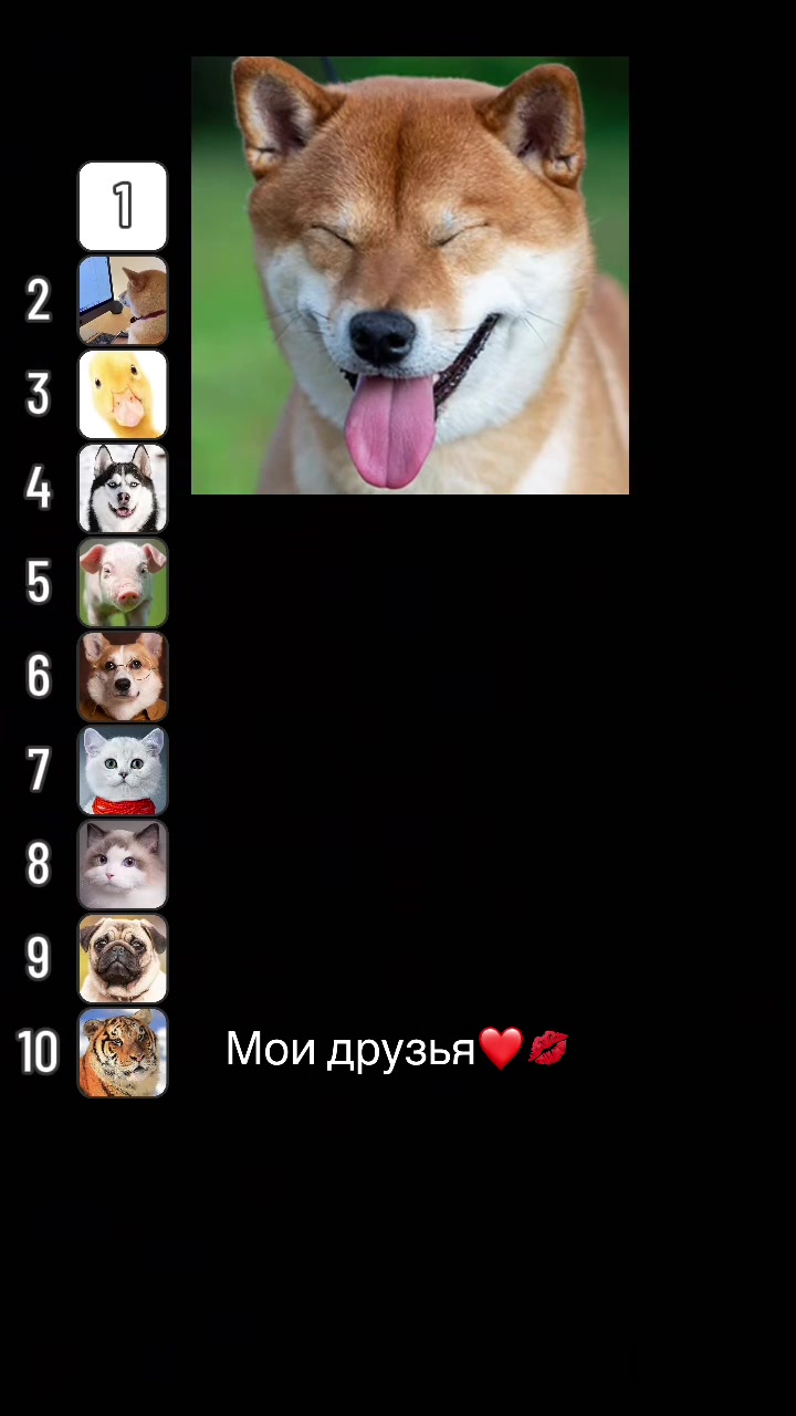 @Kolobok🙀