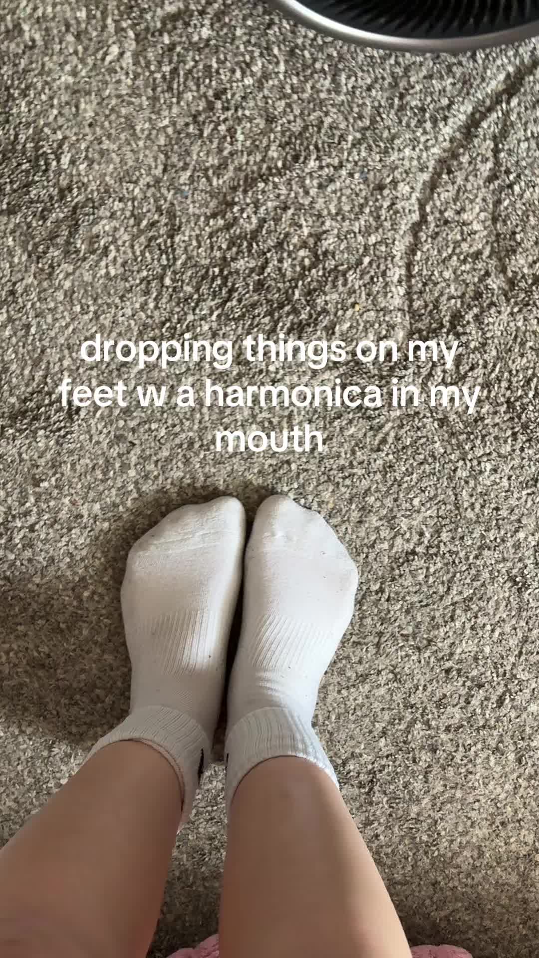 @addie_tornabene