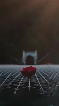 @İdris &Ccedil;elik 63