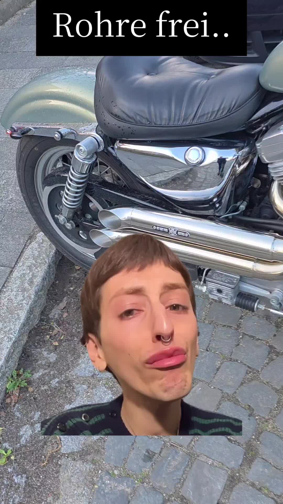 @Asterx Erbse