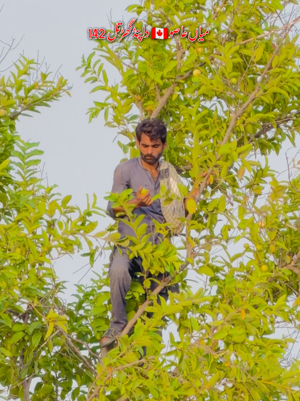 @Zamran Haroon🇵🇰