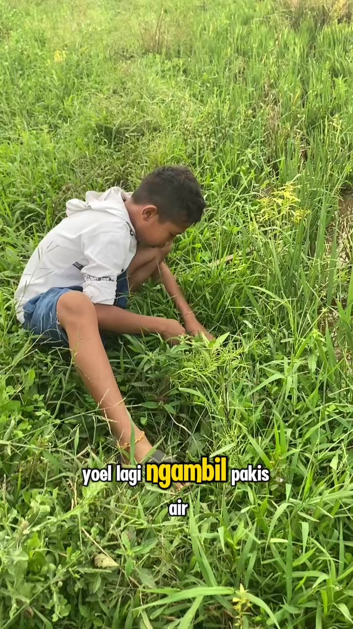 @Piara ikan di galon