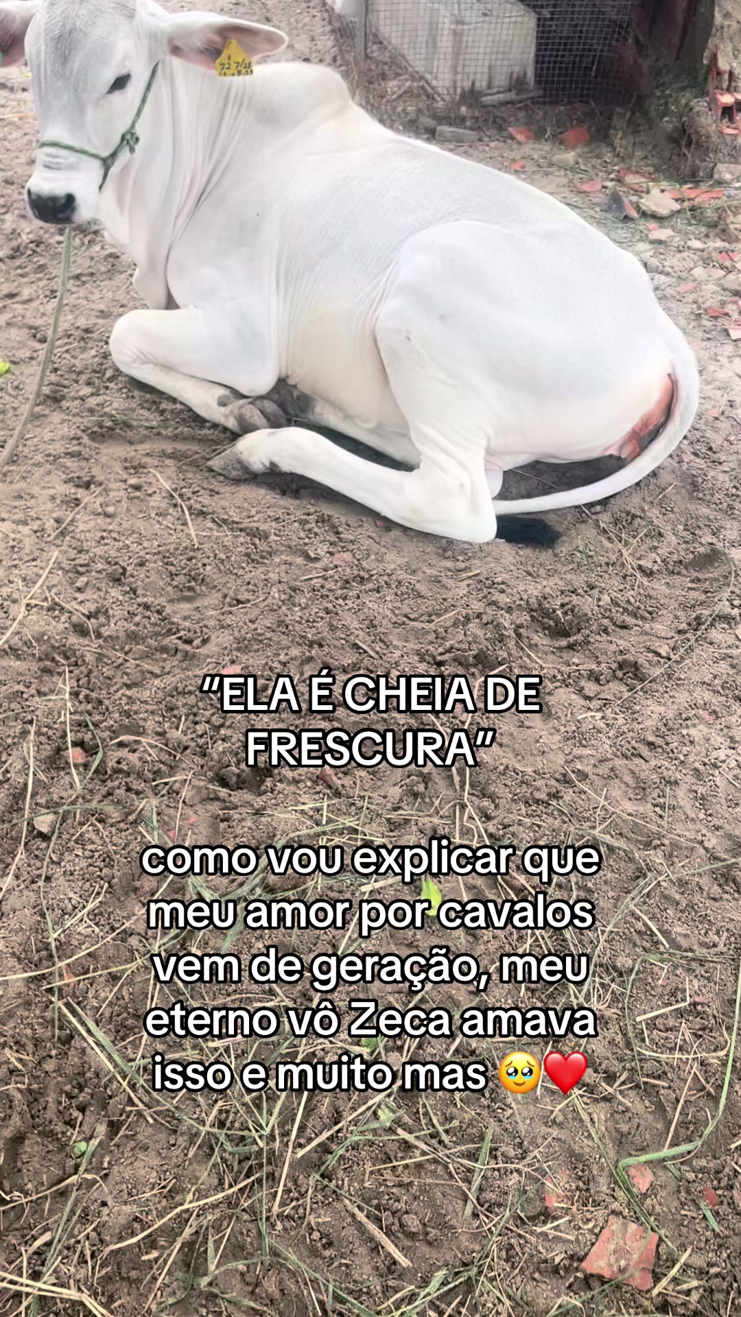 @nega