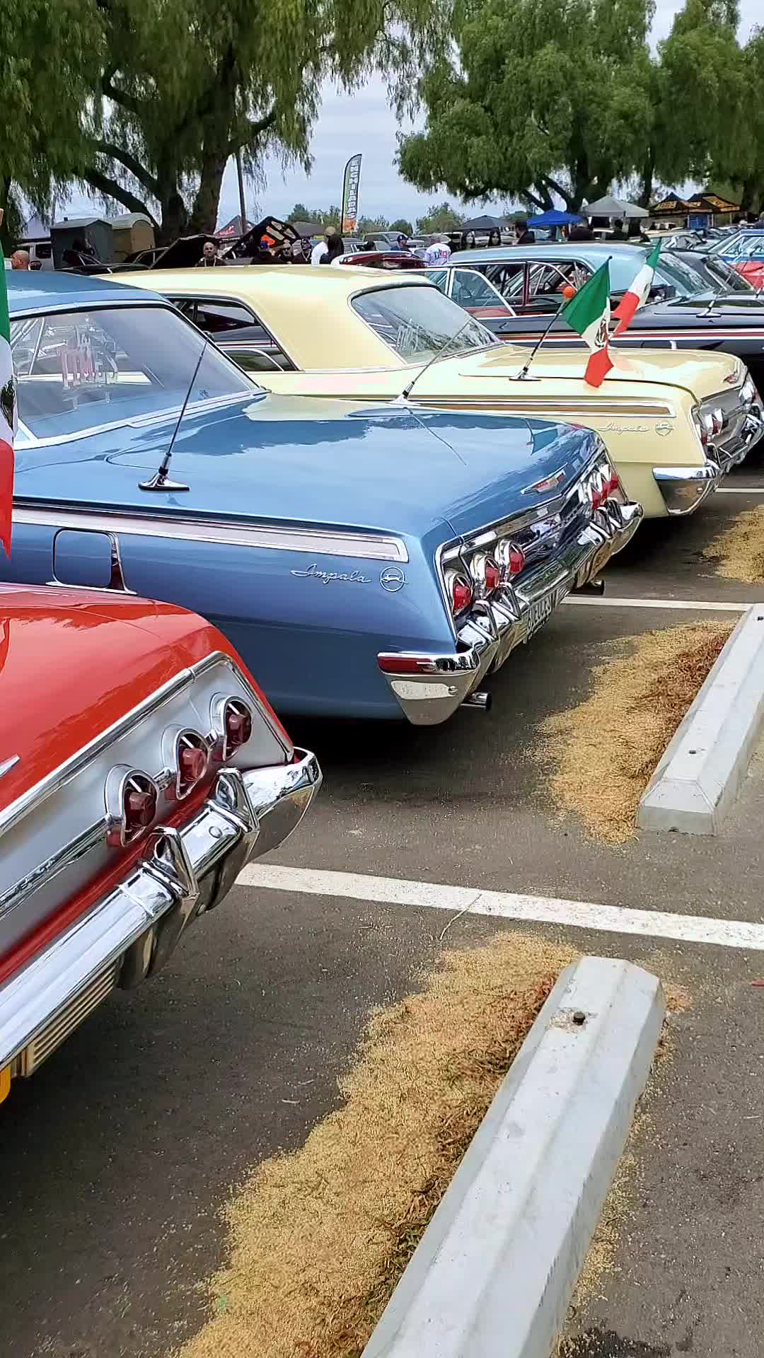 @🇲🇽6cuatro🇺🇲