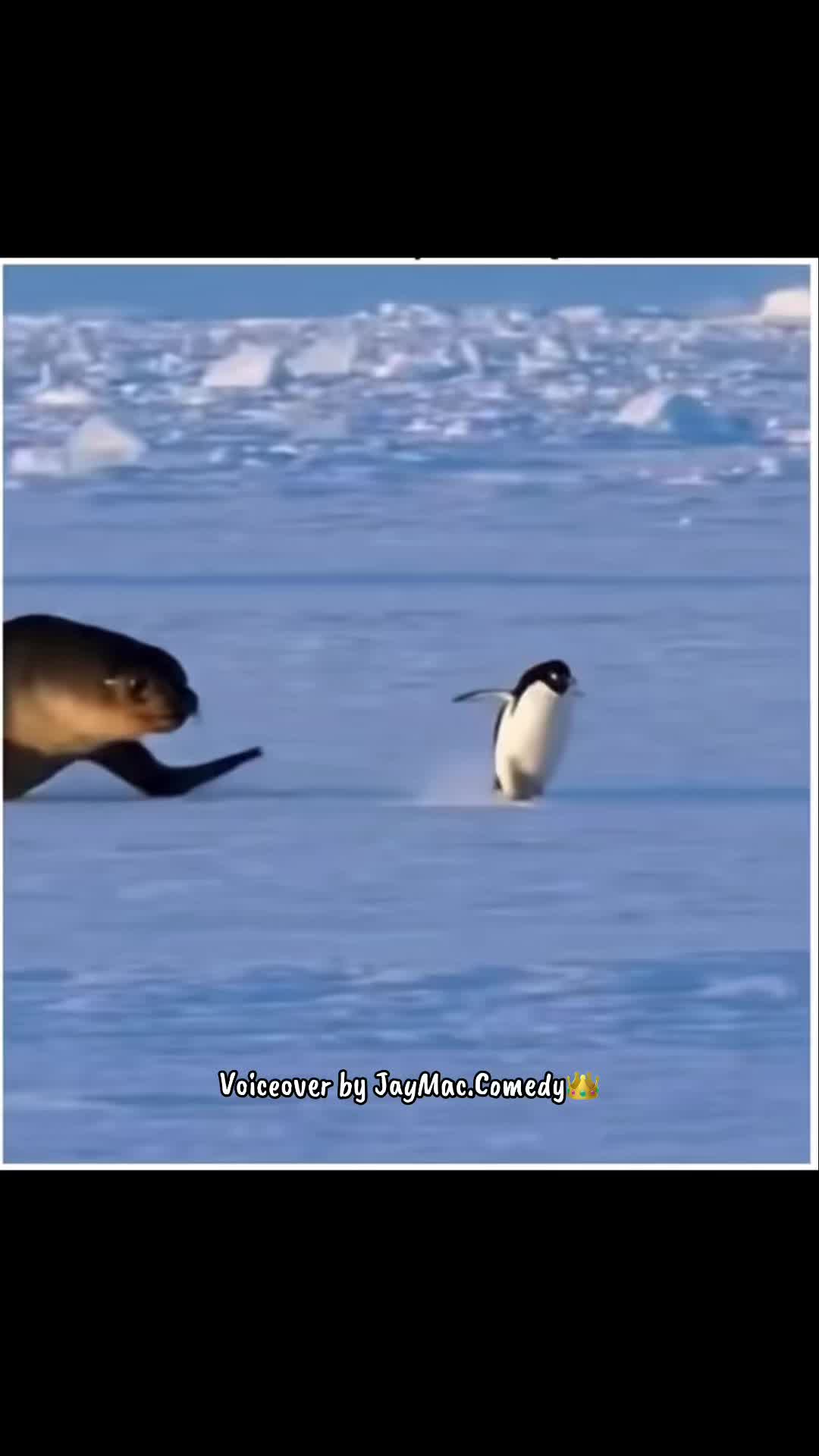 @JayMacComedy