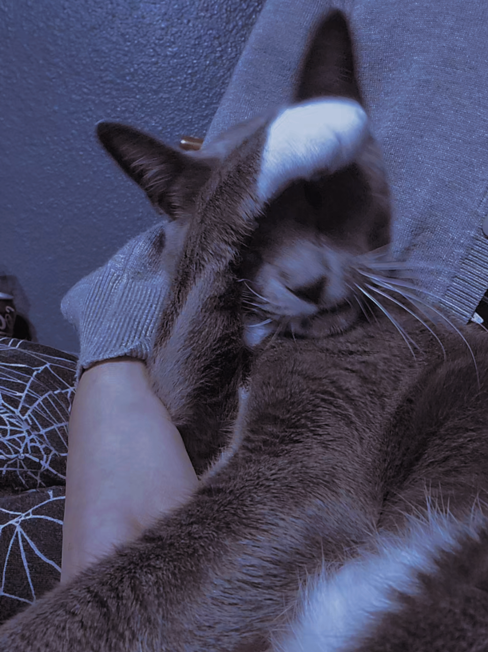 @Marie ⦻