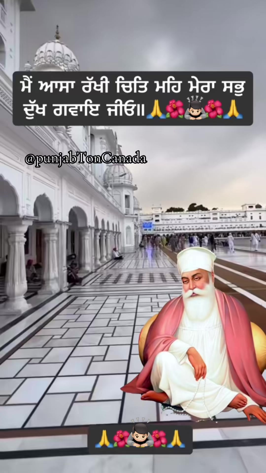 @punjabtoncanada