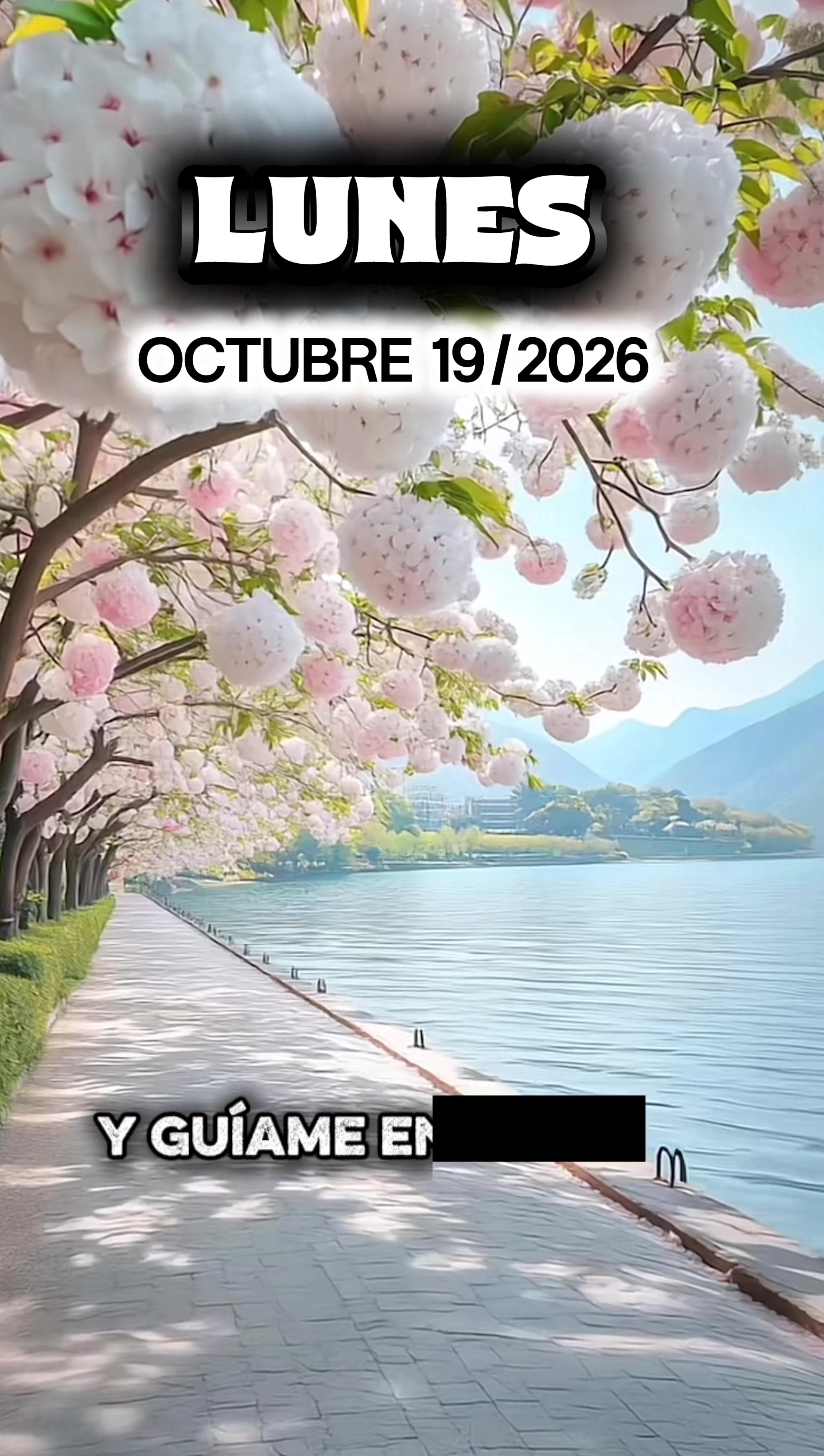 @M&uacute;sica del Cielo