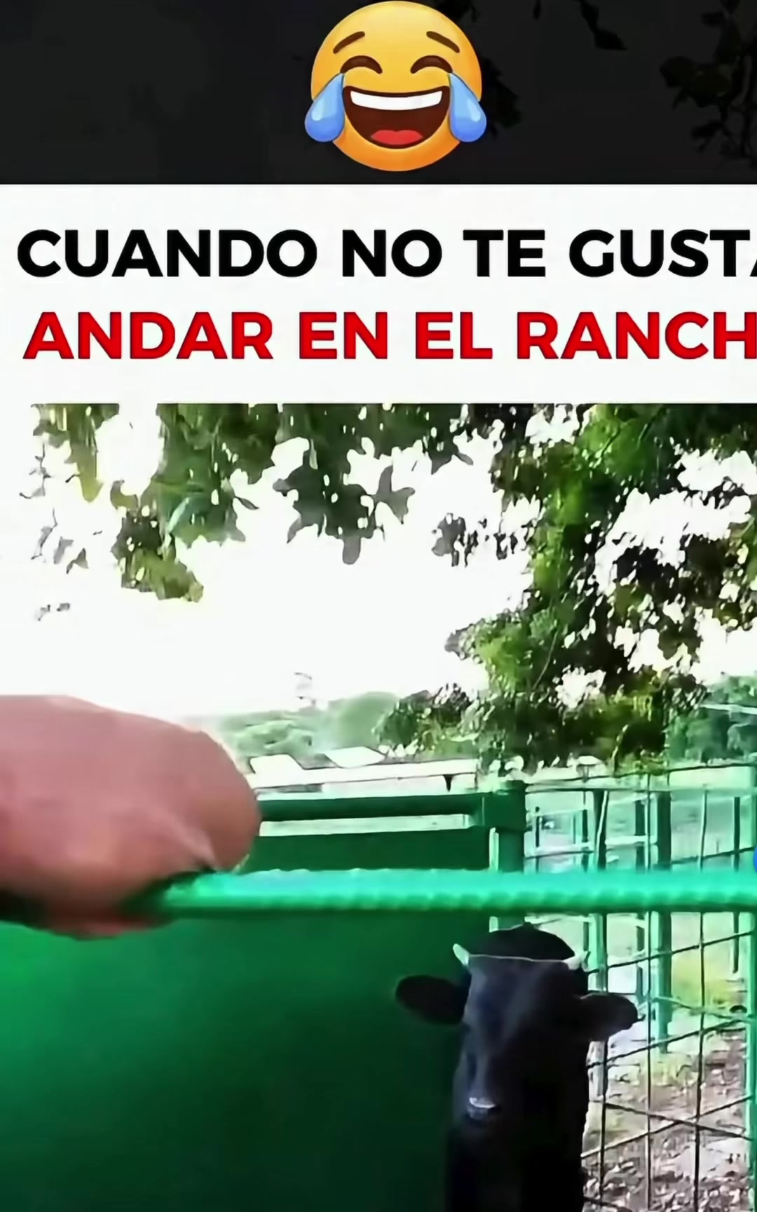 @El Cadete