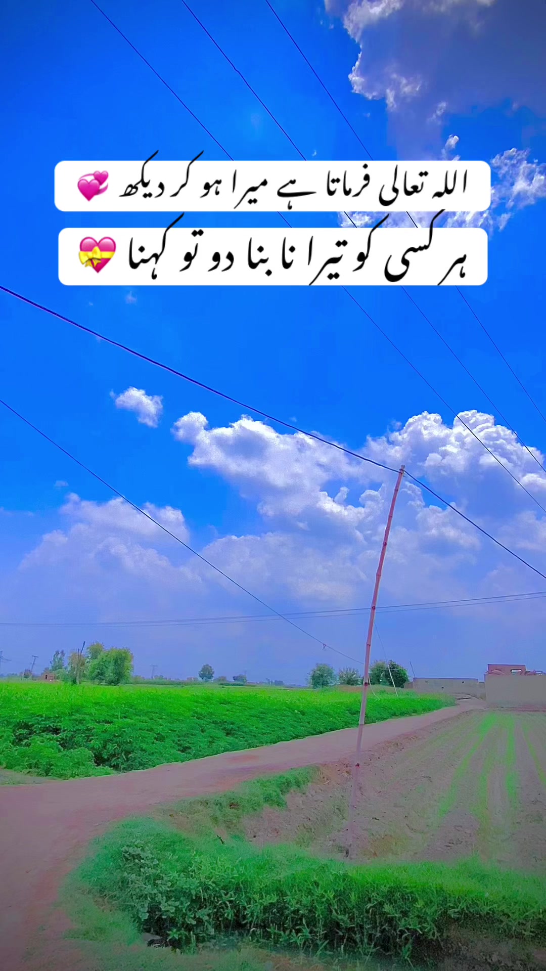 @ساجی موہل