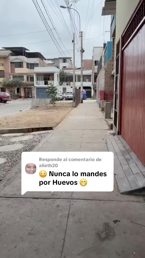@Thor y Linda 🐾🐕❤️