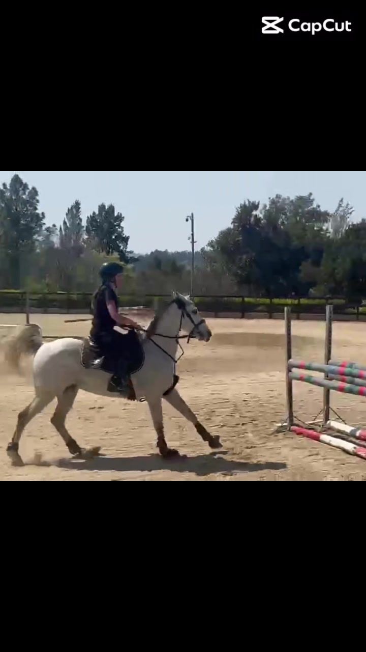 @Jay equestrian