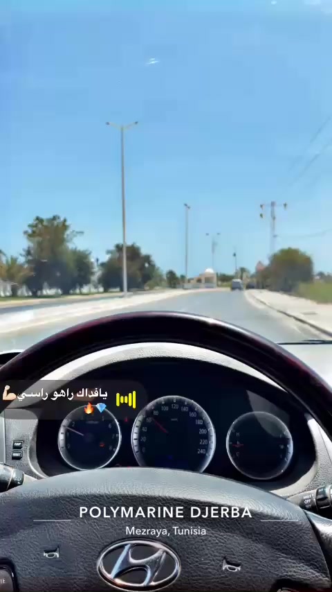 @sayh alwany
