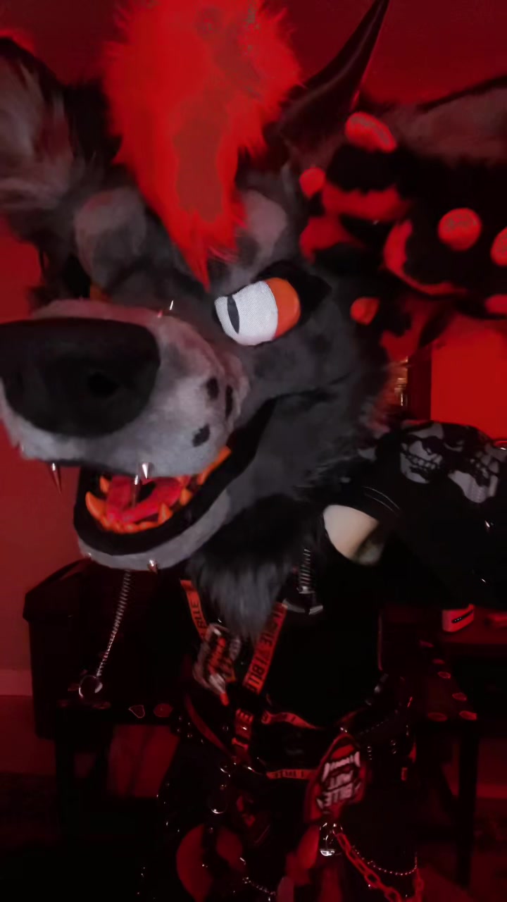 @𖤐 ʙʟᴠᴅʜᴠɴᴅ ៸៸ ⁺‧₊ 🥩🐾 .ᐟ.ᐟ