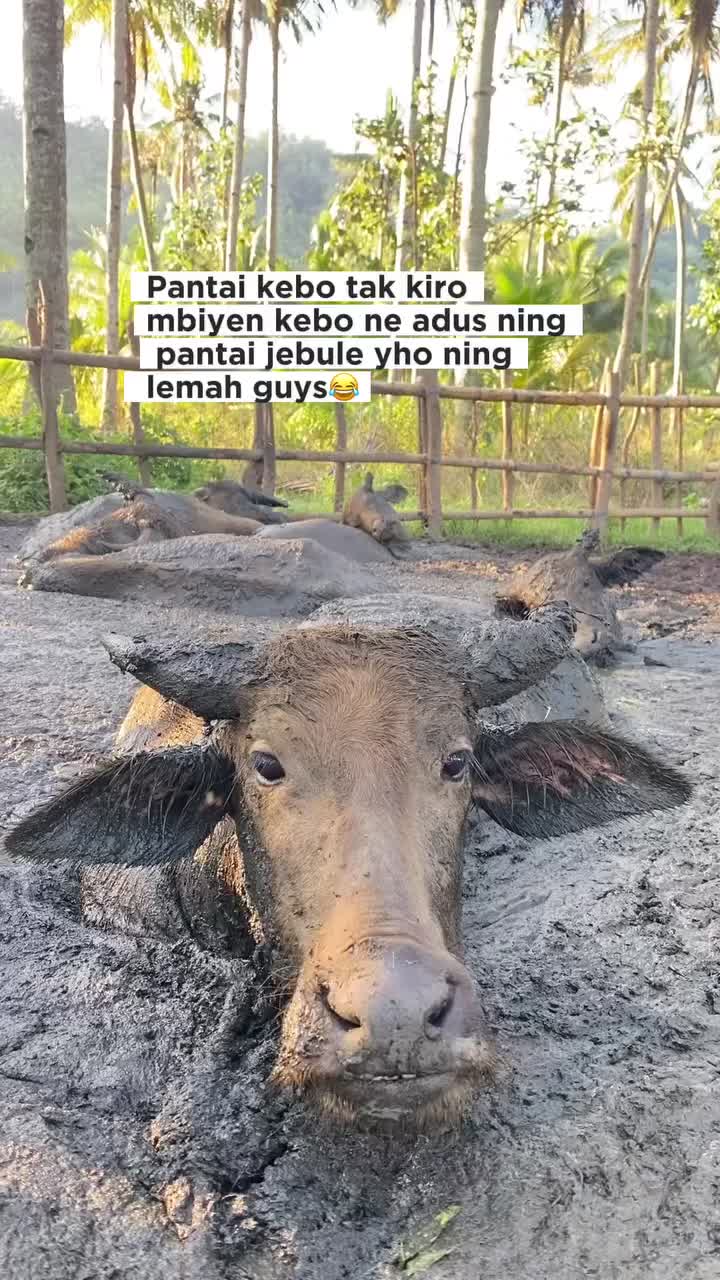@exploretrenggalek