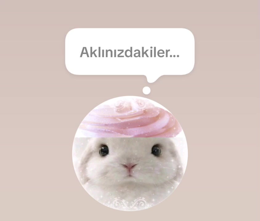@ಇ &rsaquo; ϐ𝗈ꪀꪀ𝗂ᑲꫀℓ'