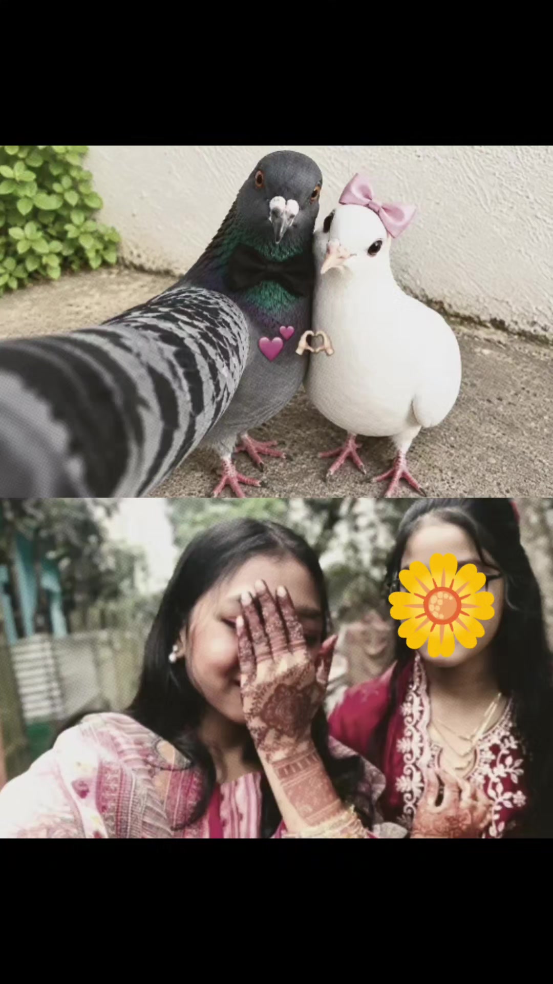 @🌚 𝑴𝒐𝒐𝒏 𝑸𝒖𝒆𝒆𝒏🌚