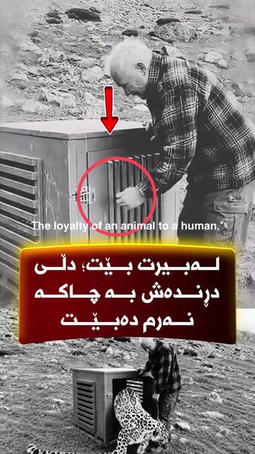 @🎤📺 𓆩جیگر هەركی𓆪 Journalist