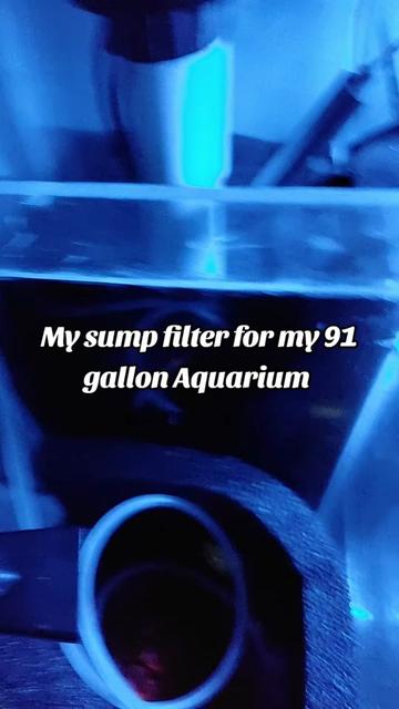 @landandaquatics 🇯🇲