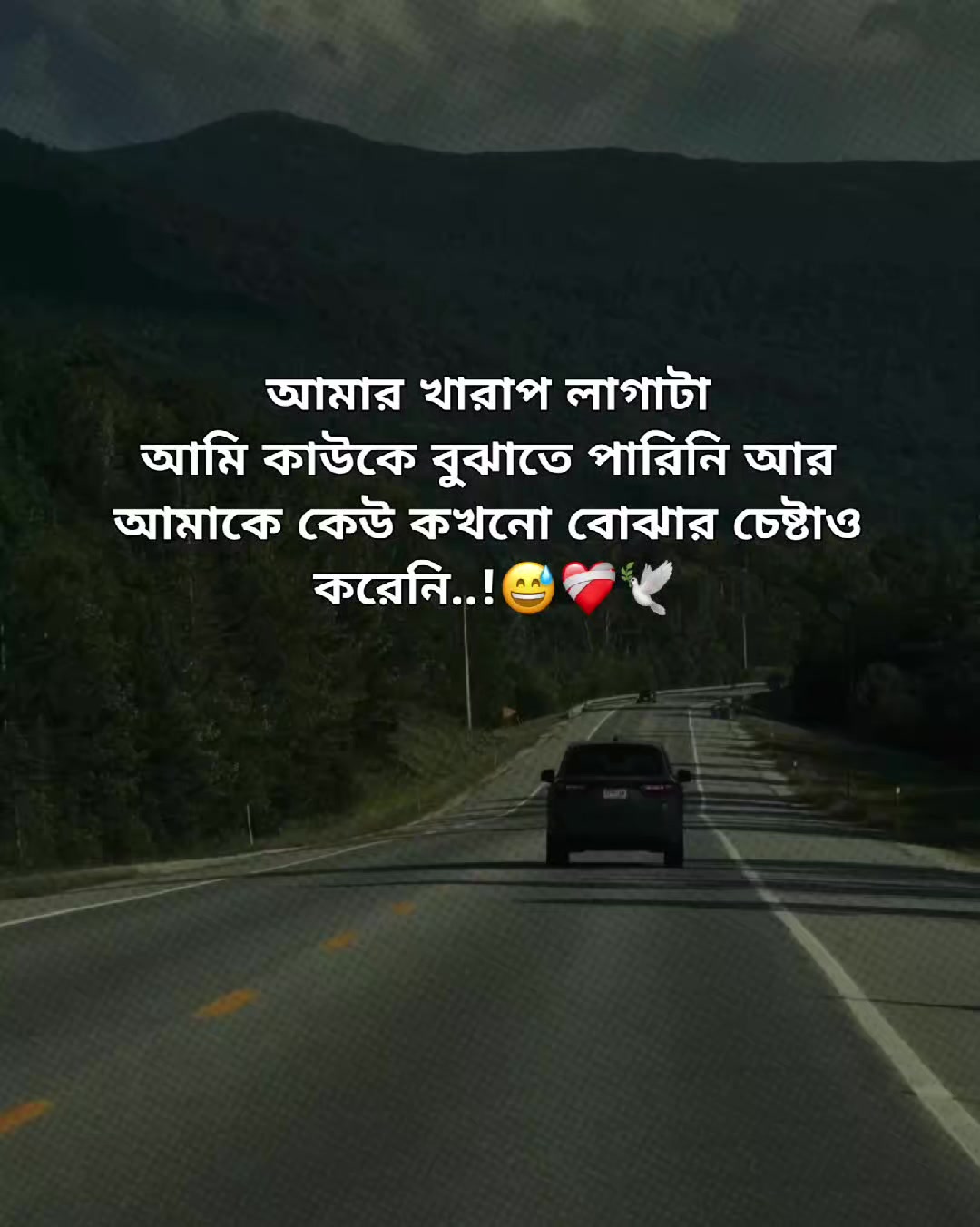 @🌷পিচ্চি–কবি🌷