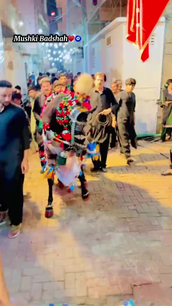 @uzair ali110🚩