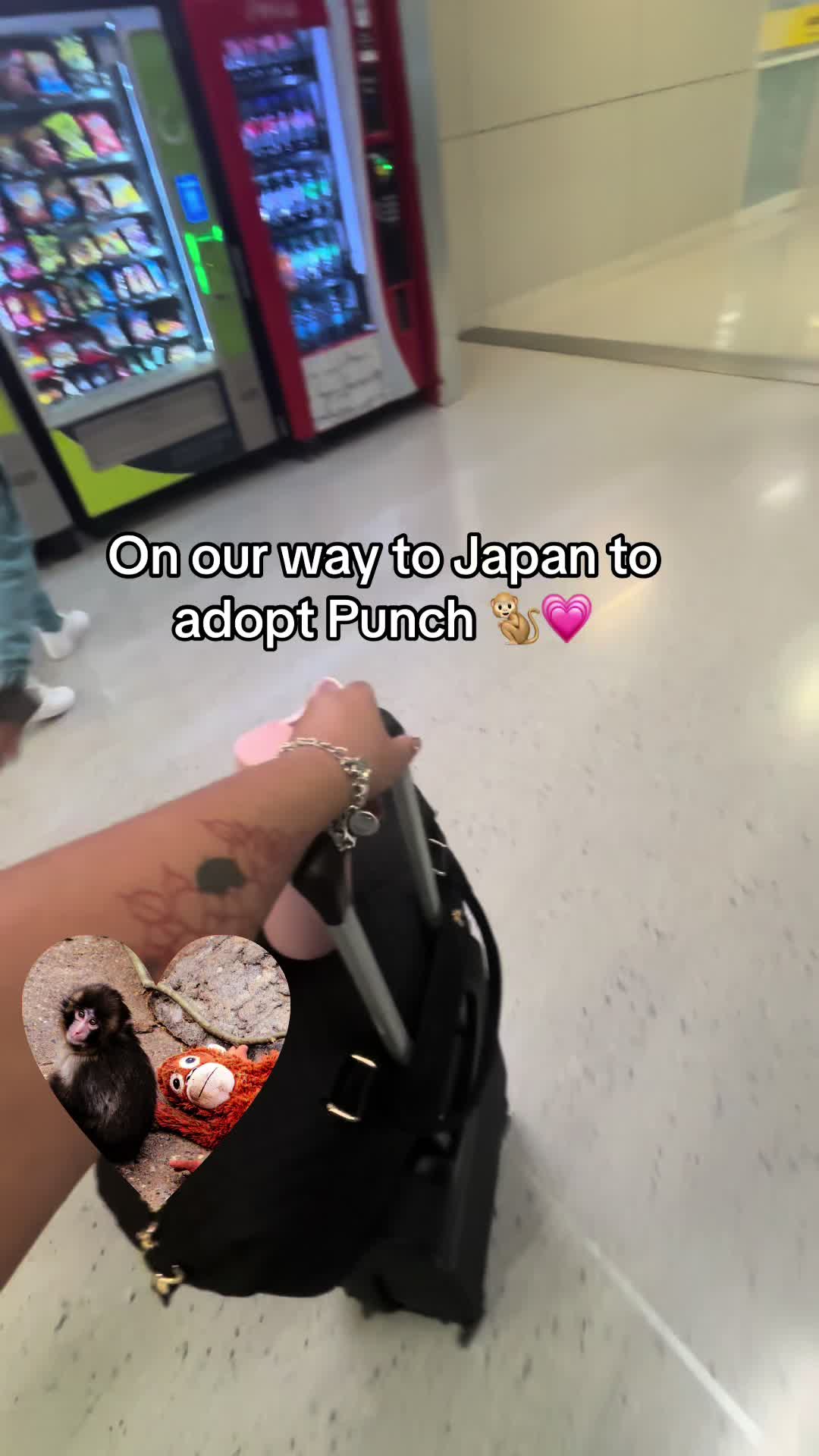 @Wendy 💫