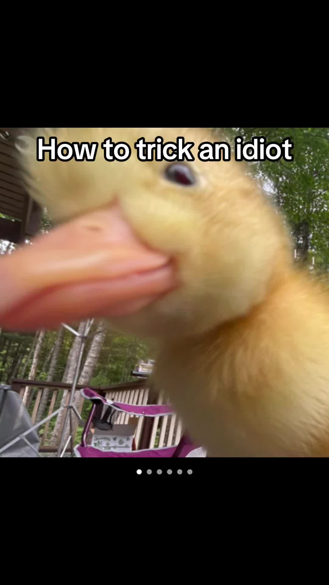 @𝔏𝔞𝔶𝔰 𝔢𝔡𝔦𝔱