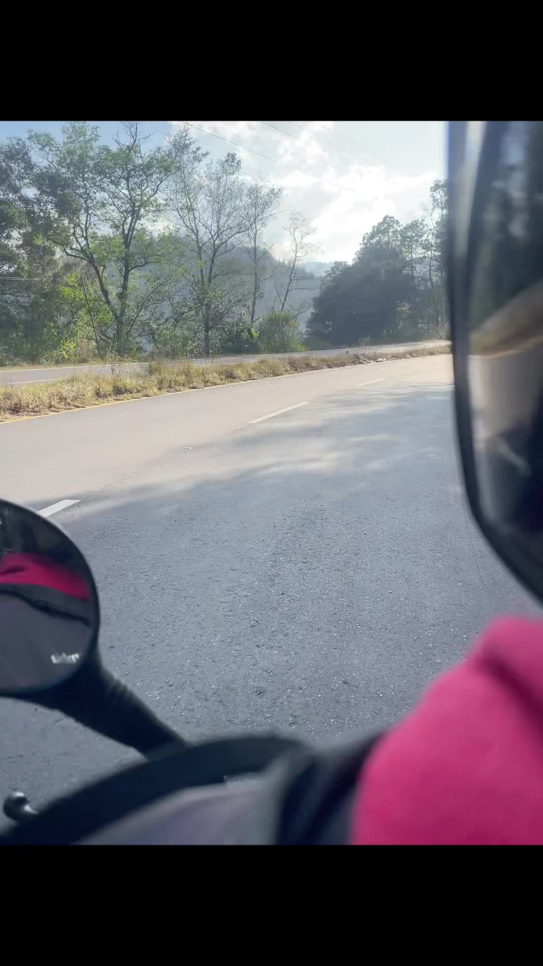 @chica06panda