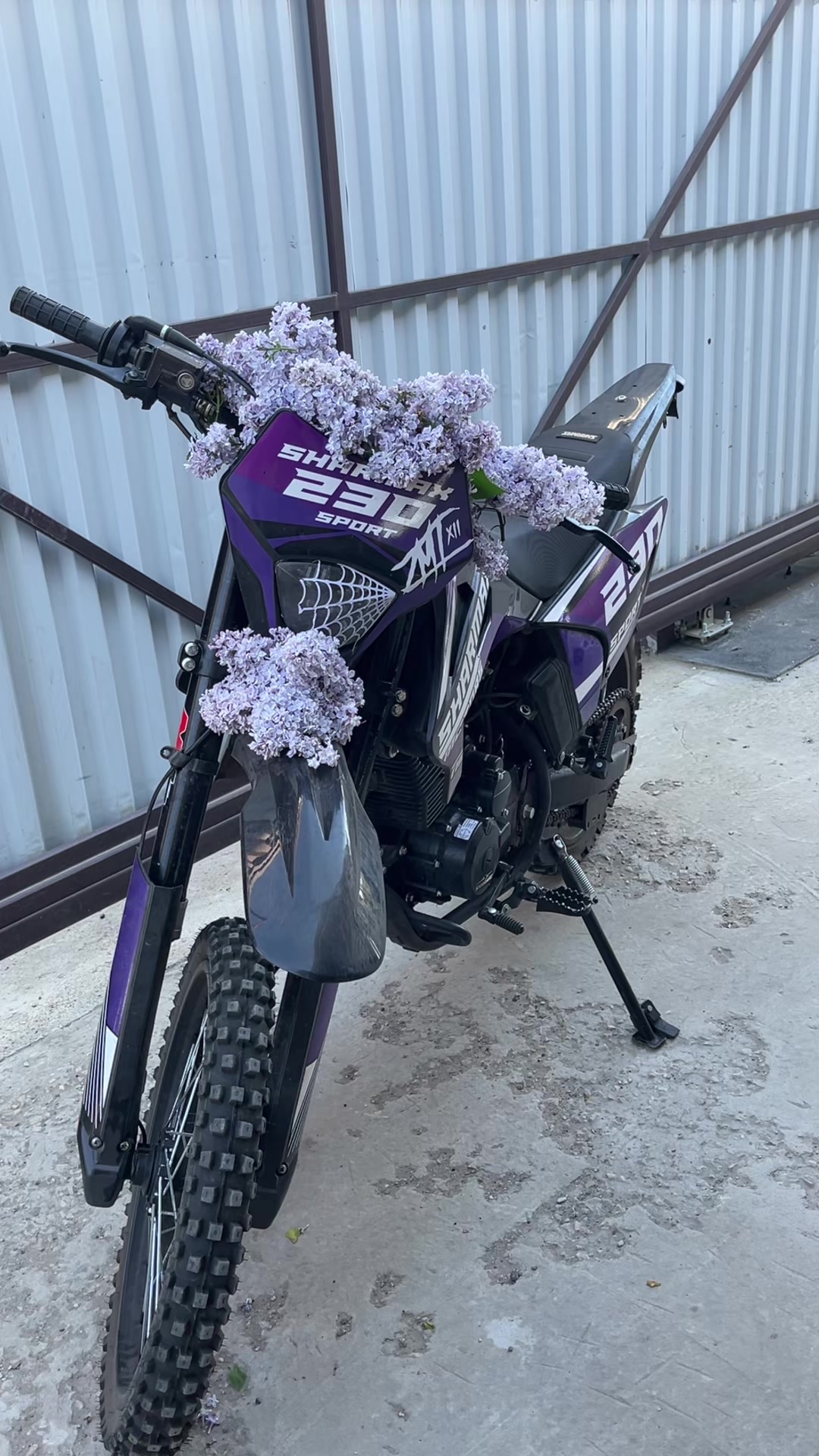 @sharmax230sport73