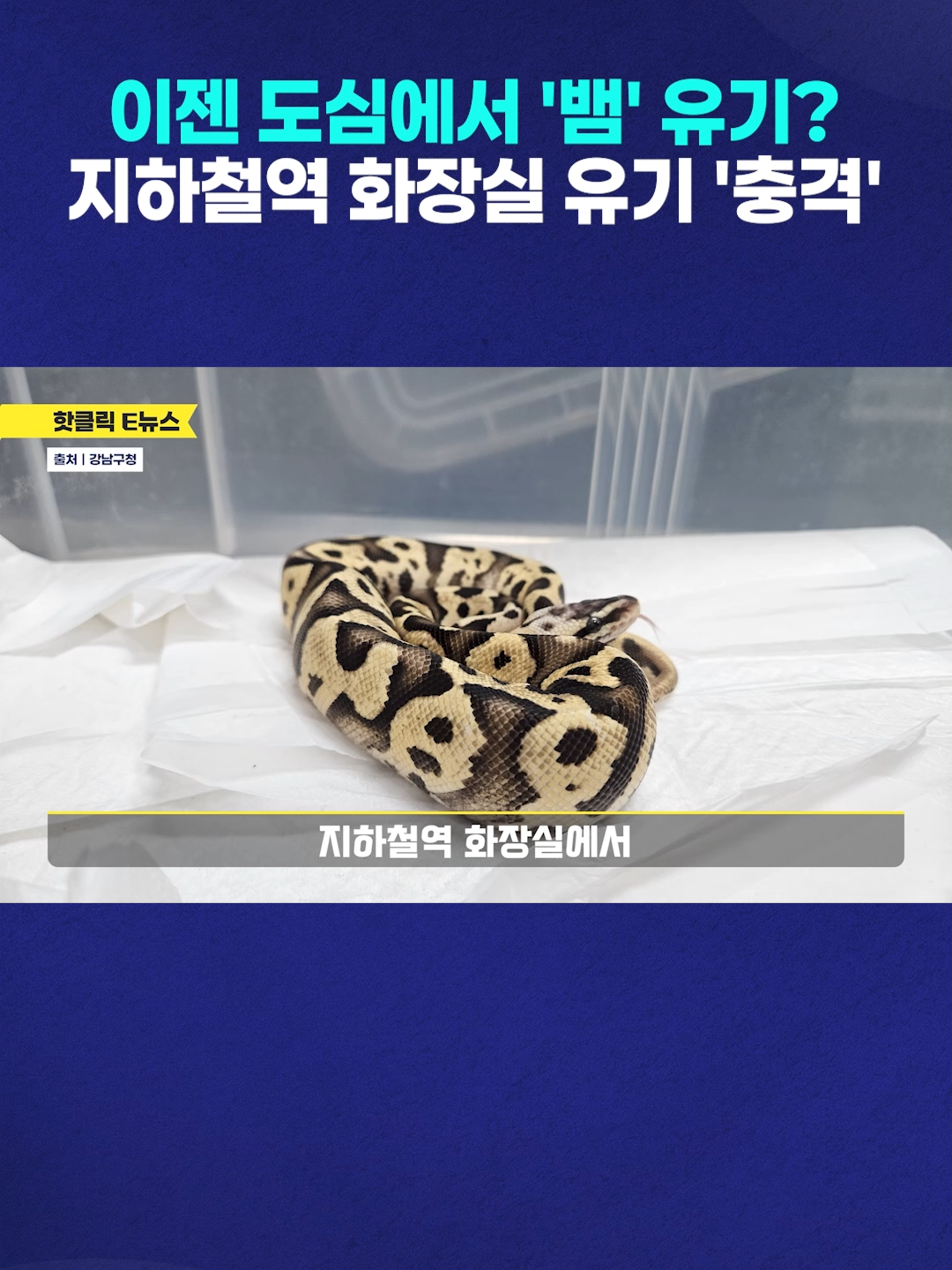 @TJB 뉴스