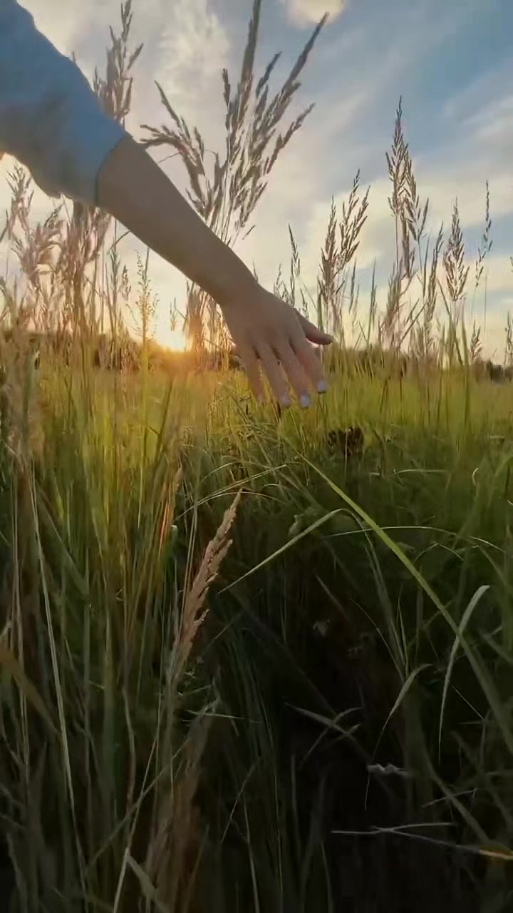 @_tatttka_