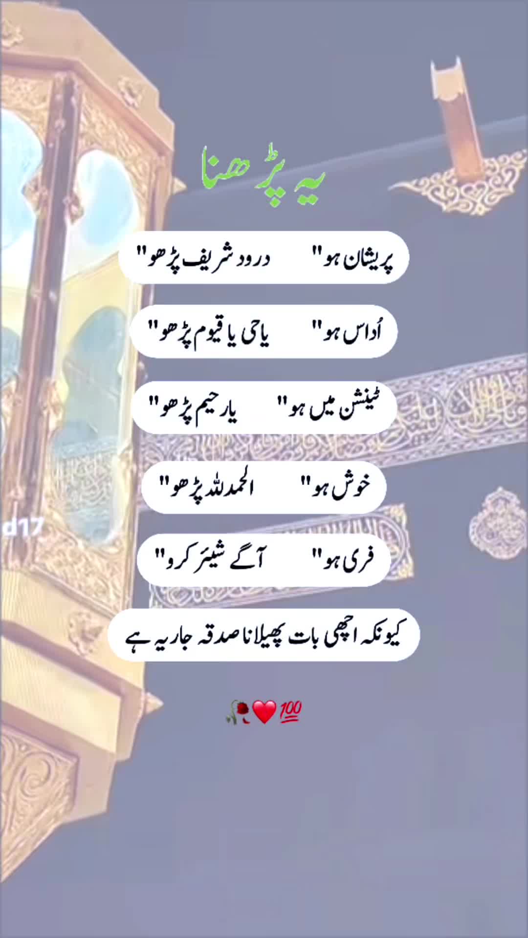 @shazia_khan❤️