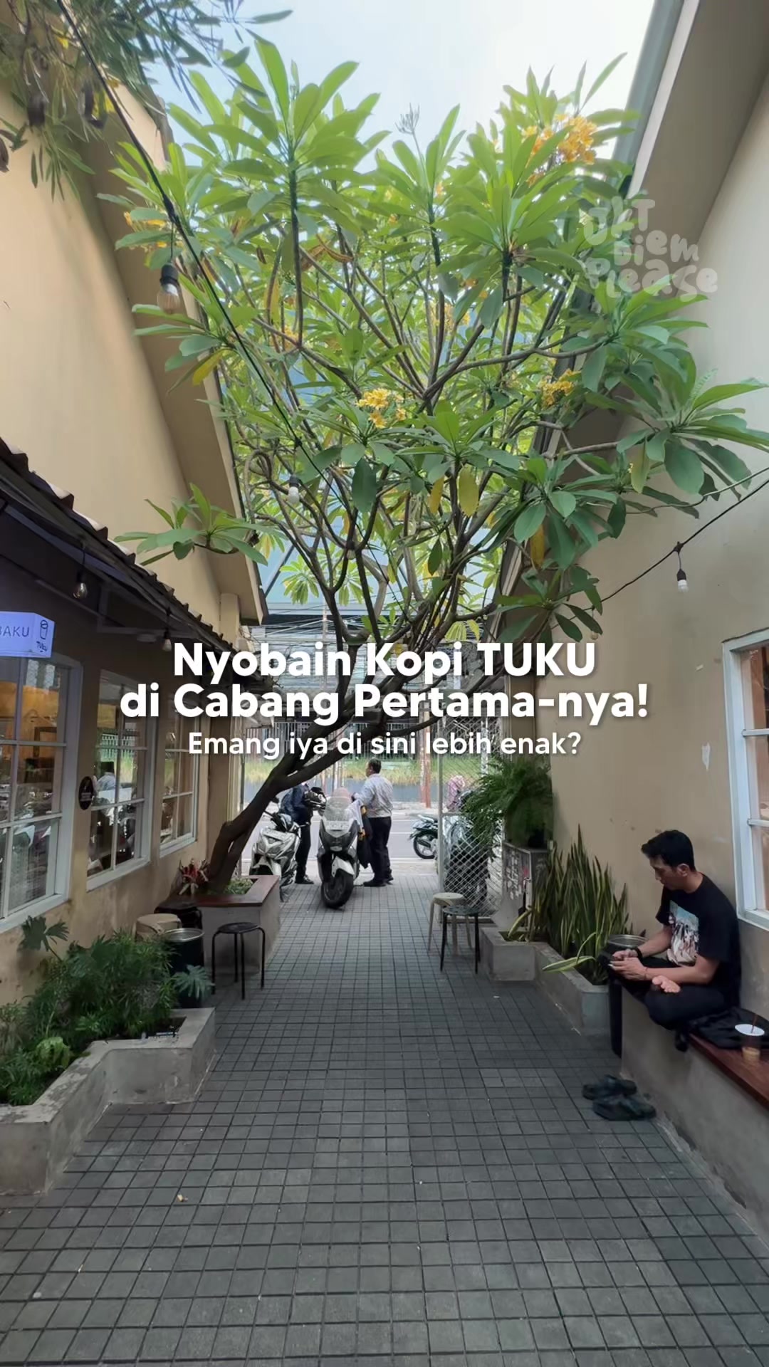 @JKT Diem Please