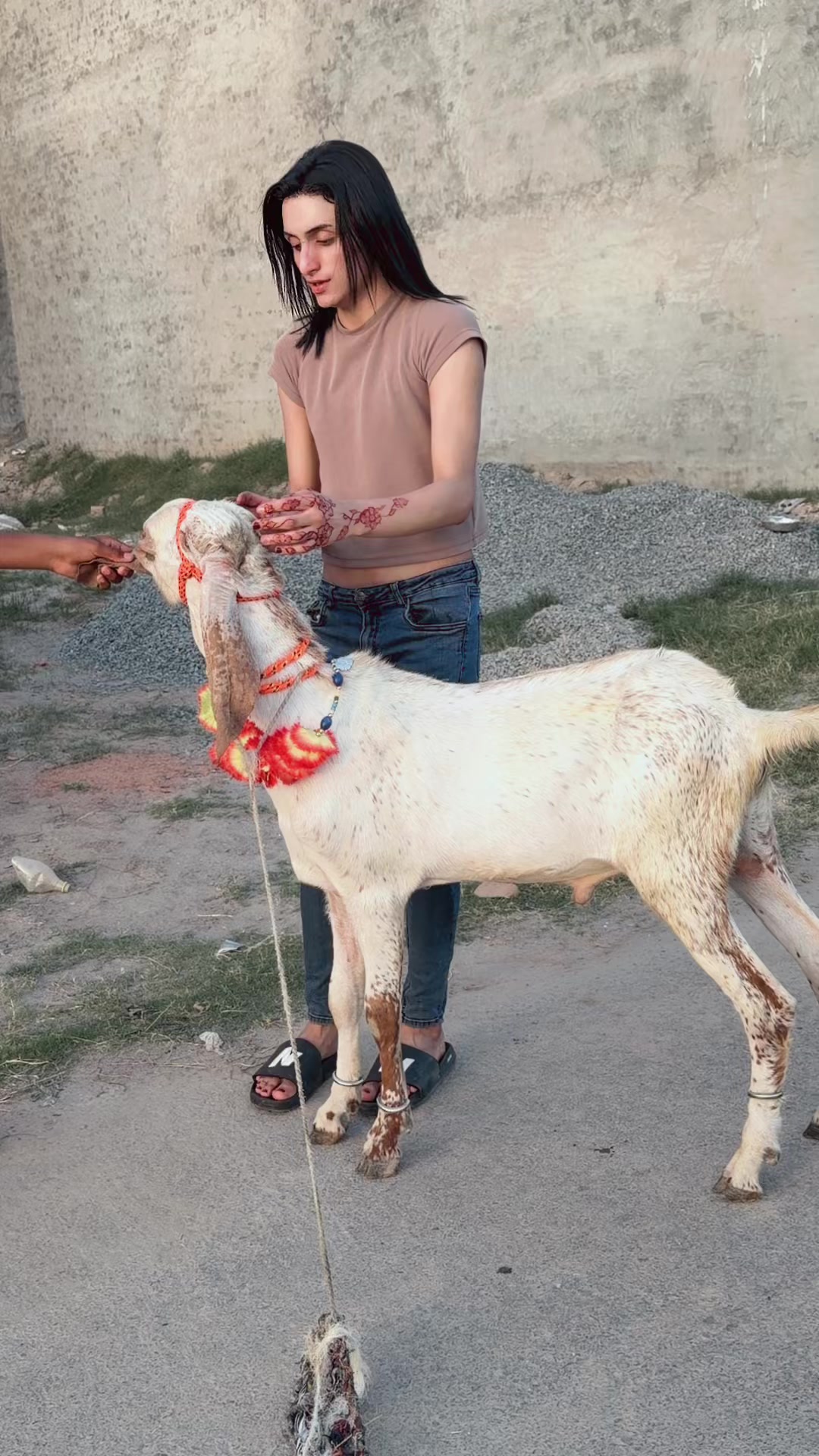 @Hunainbajwa1