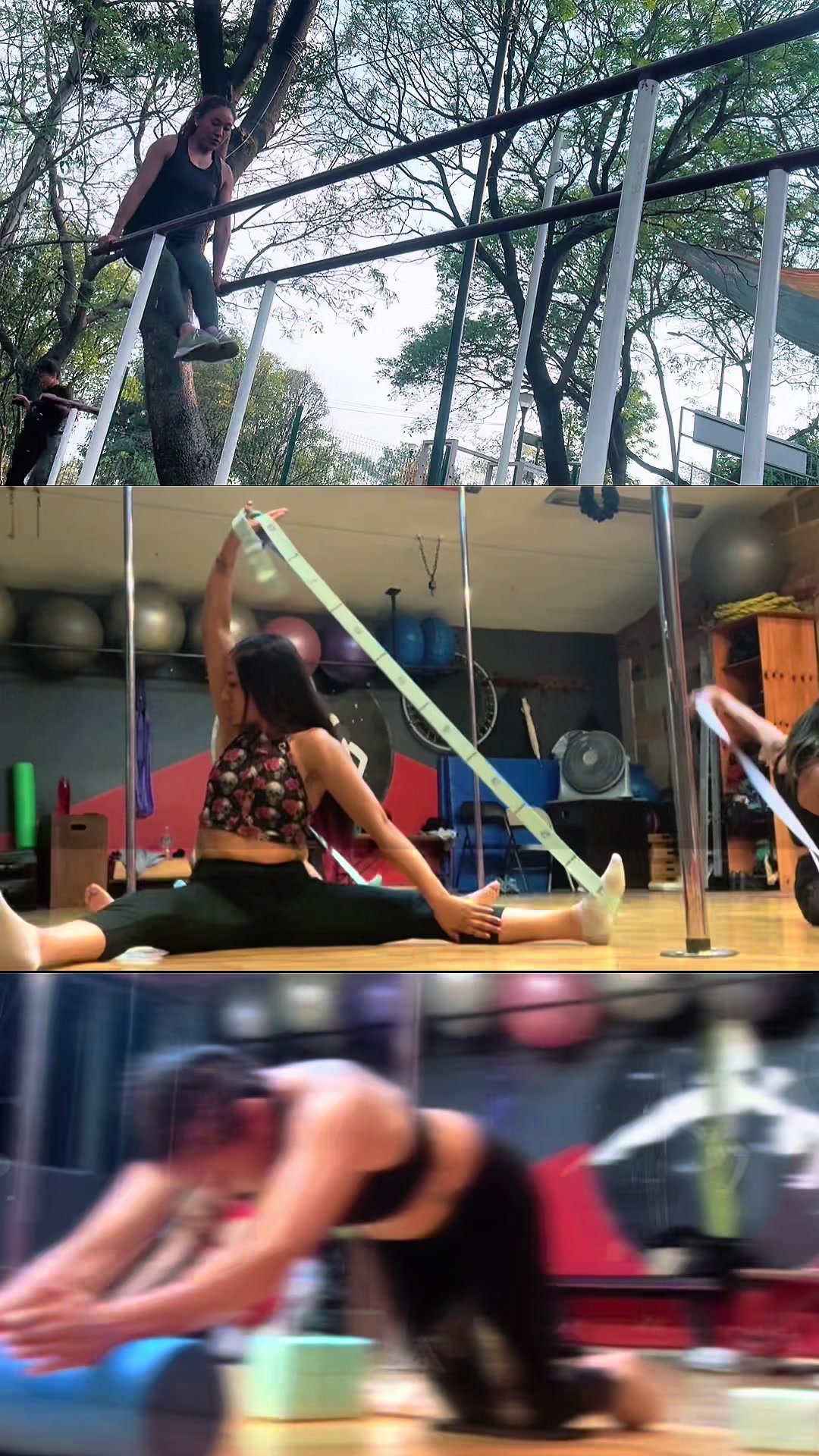 @zhuka_pole