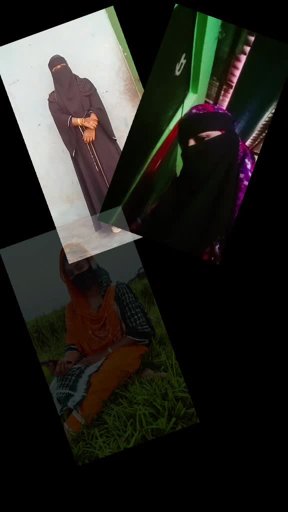 @ভালোবাসার লাল গোলাপ 🌹🌹